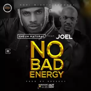 Sheun Natural - No Bad Energy ft. Joe EL